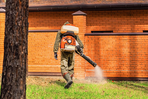Trusted Termite Control service in Kimberly, AL - Nex Pest Control